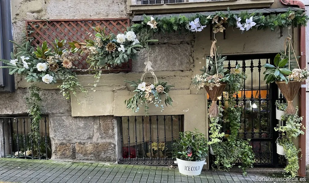 Floristería Agarimo