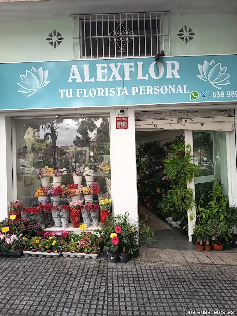 ALEXFLOR tu florista personal | floristería en Málaga