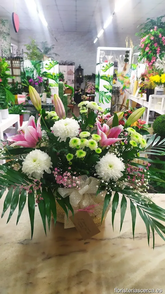 Ana y Jesús Floristas S.L.