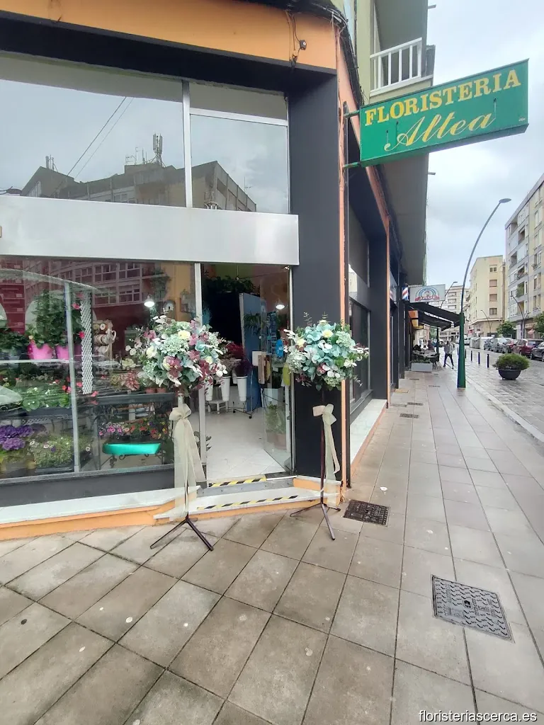 FLORISTERÍA ALTEA