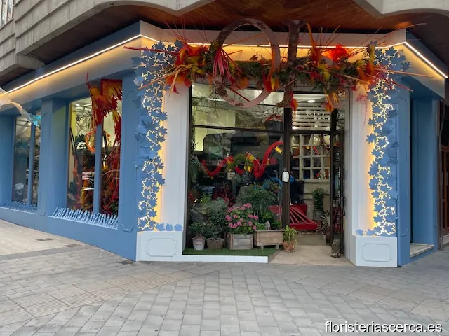 Floristería Orquídea Haus | Floristería en Alicante | Envío flores a domicilio | Decoración eventos