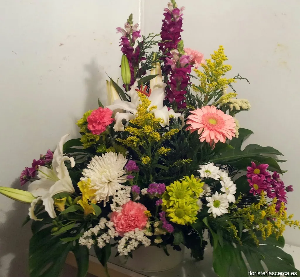 Floristería VIOLETAS