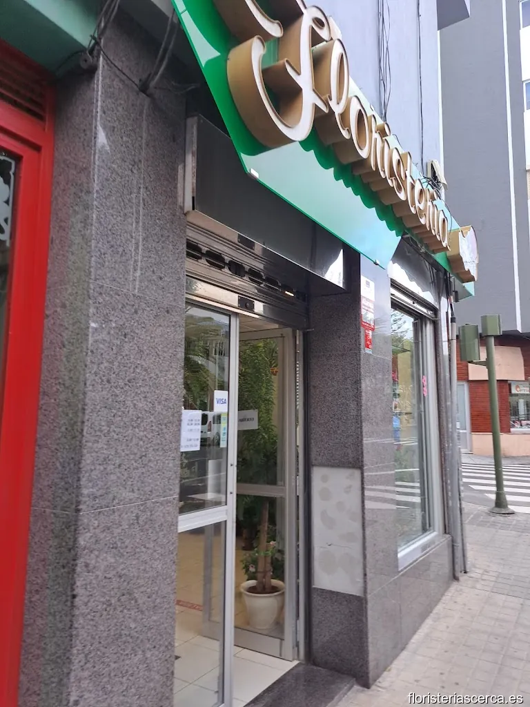 Orquidea Floristeria