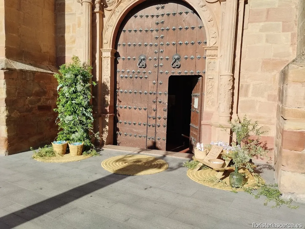 Floristería Pozoflor