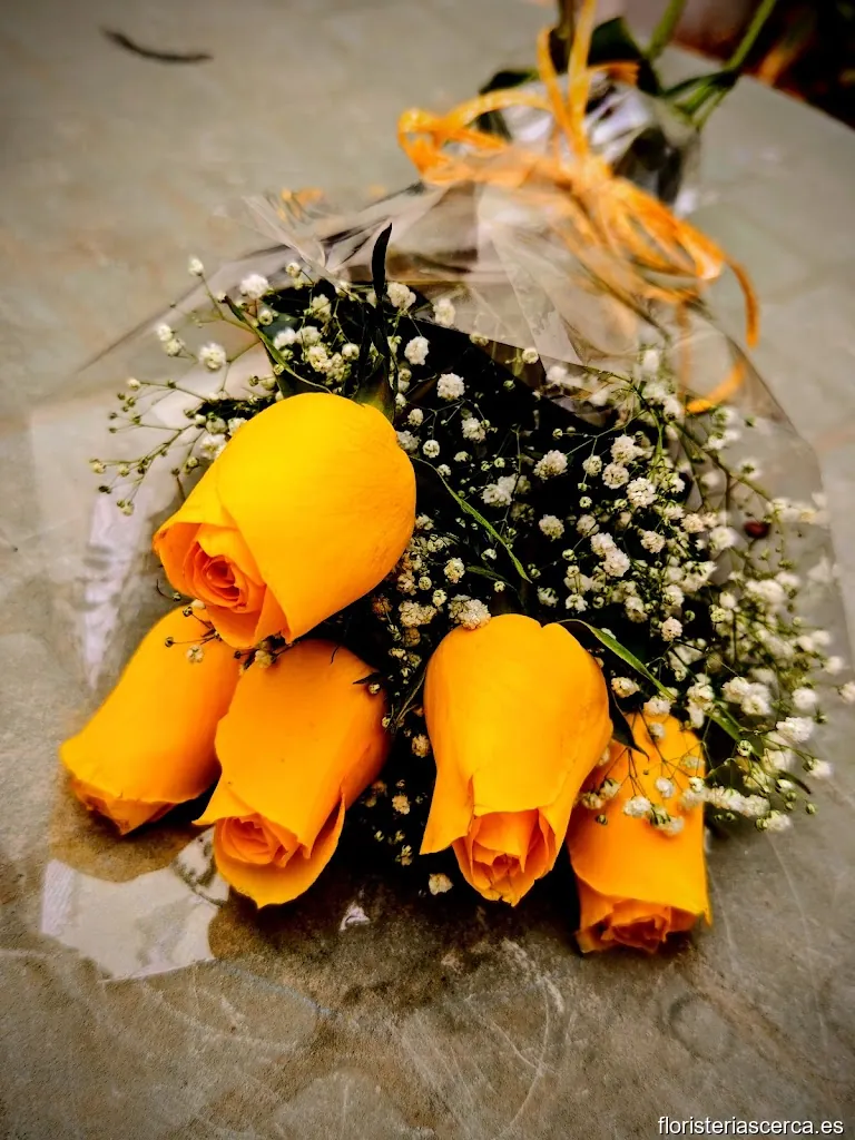 Floristería Magnolia