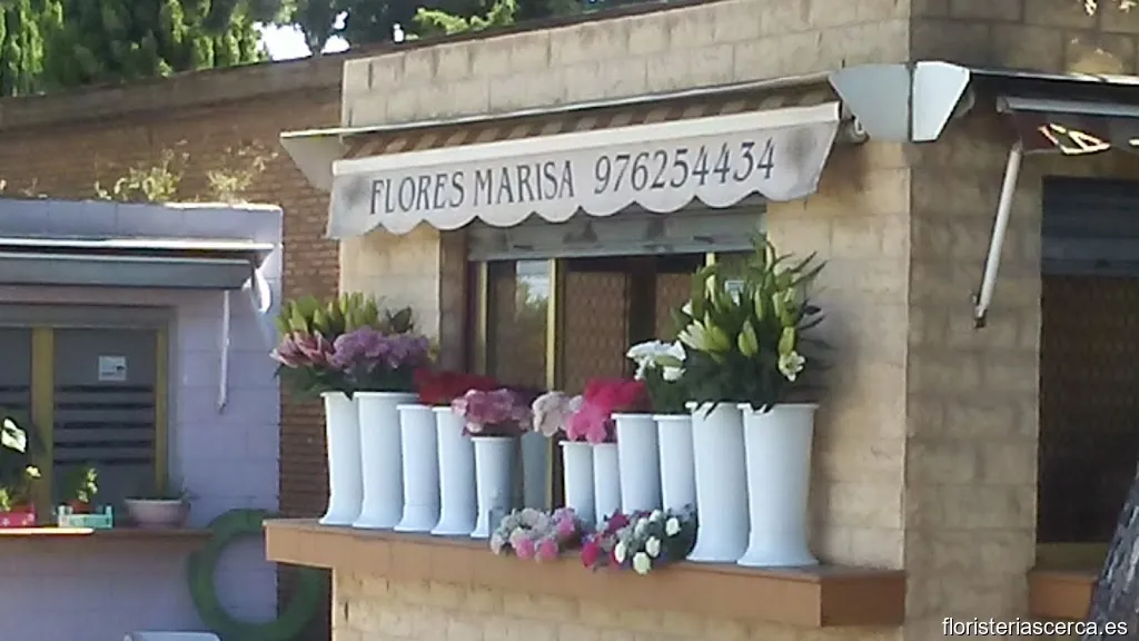 Flores Marisa