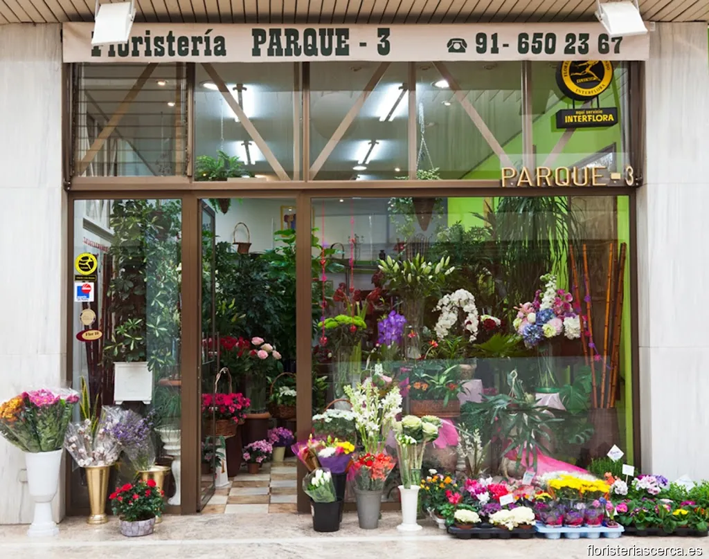 Floristeria Parque 3