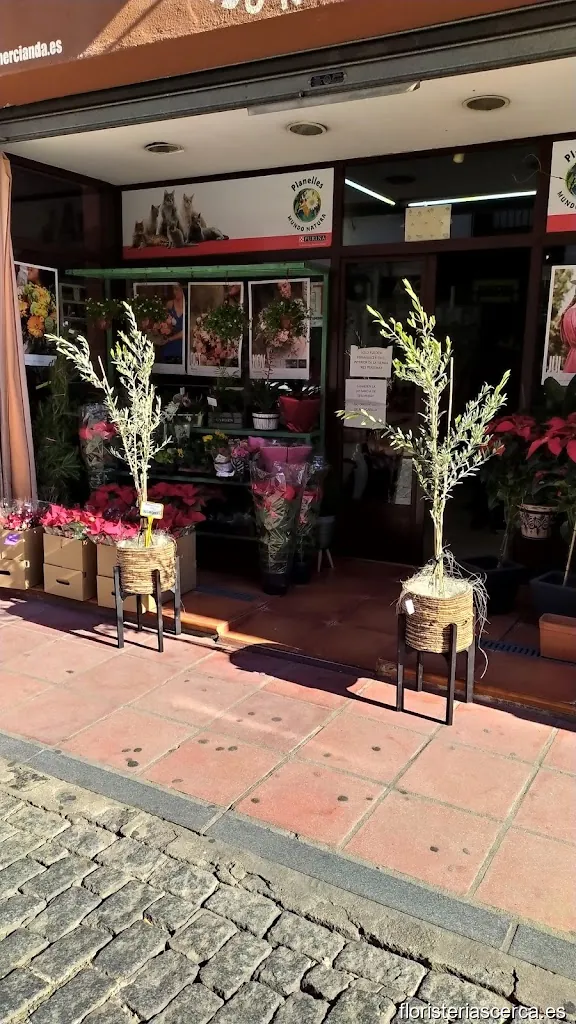 PLANELLES MUNDO NATURA