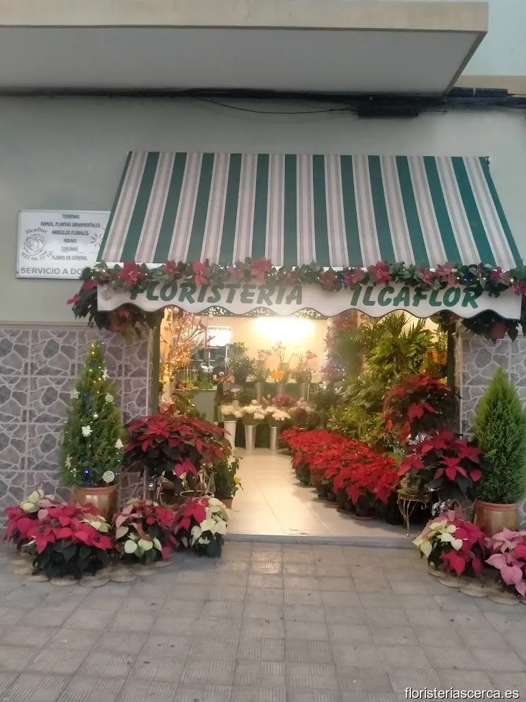 Floristeria Ilcaflor