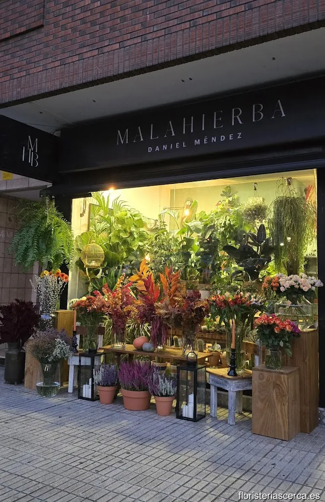 Malahierba floristería