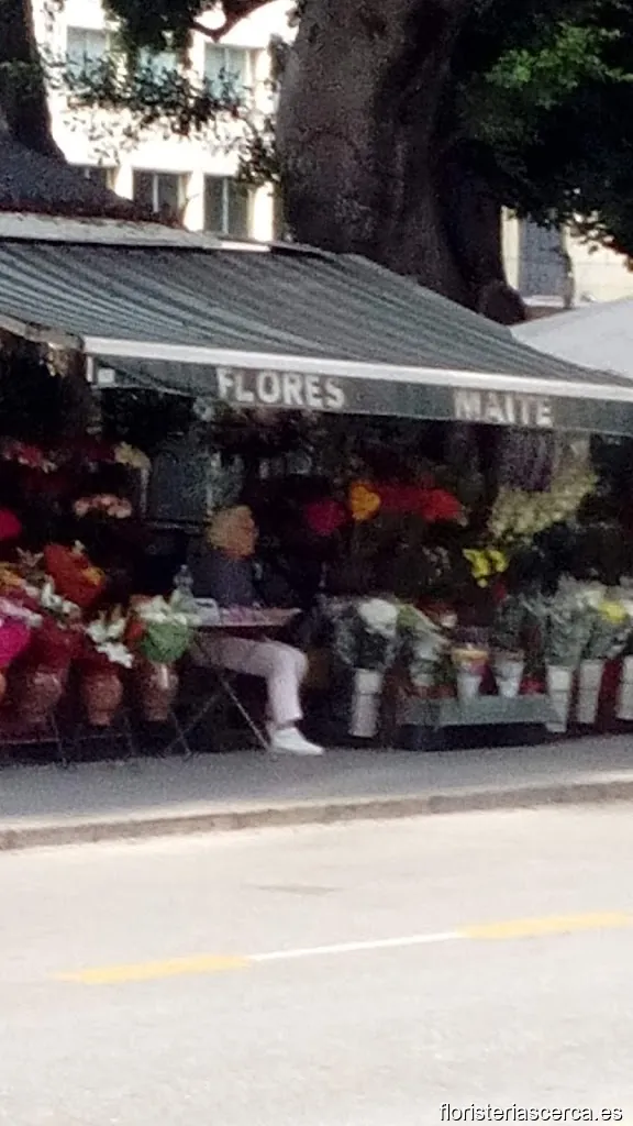 Floristería Maite
