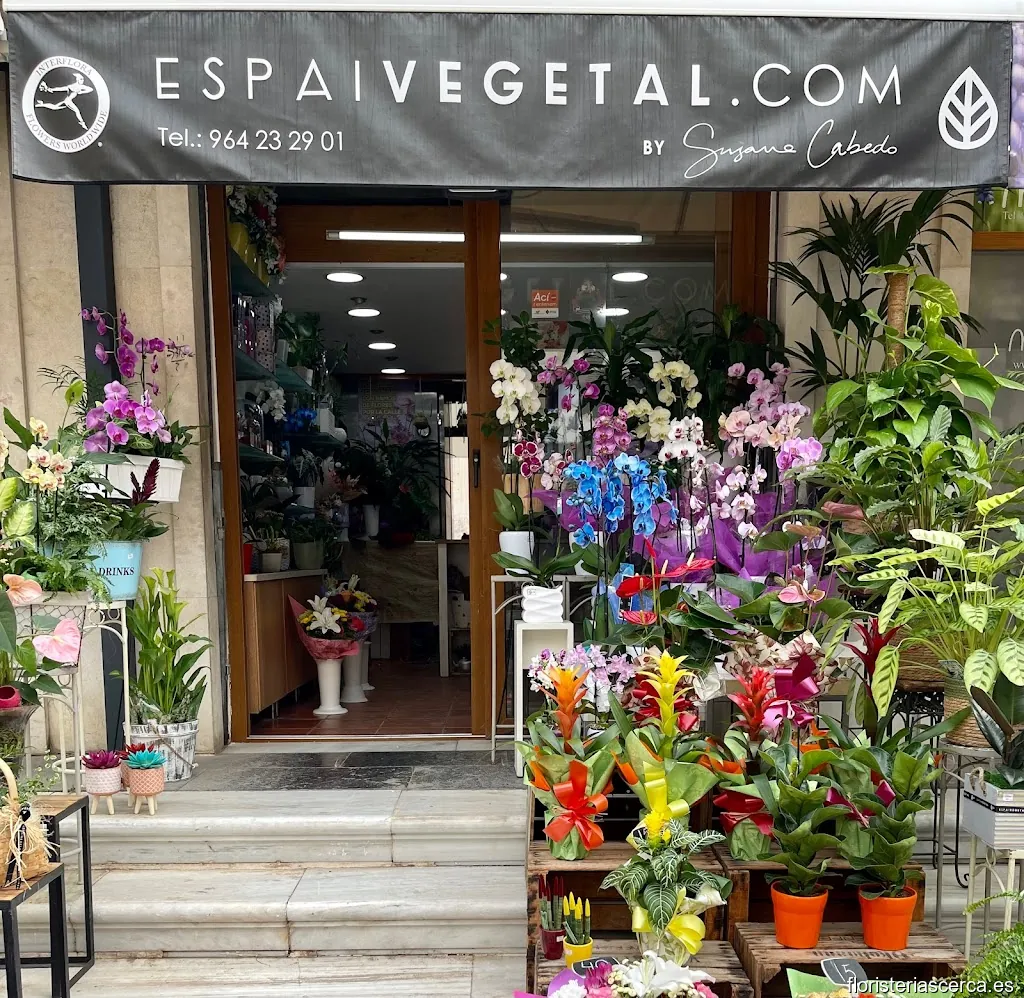 Floristería Espai Vegetal en Plaza Santa Clara