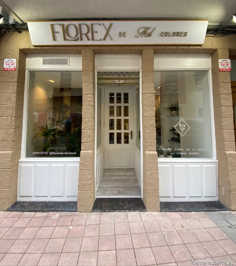 FLOREX de Mil Colores