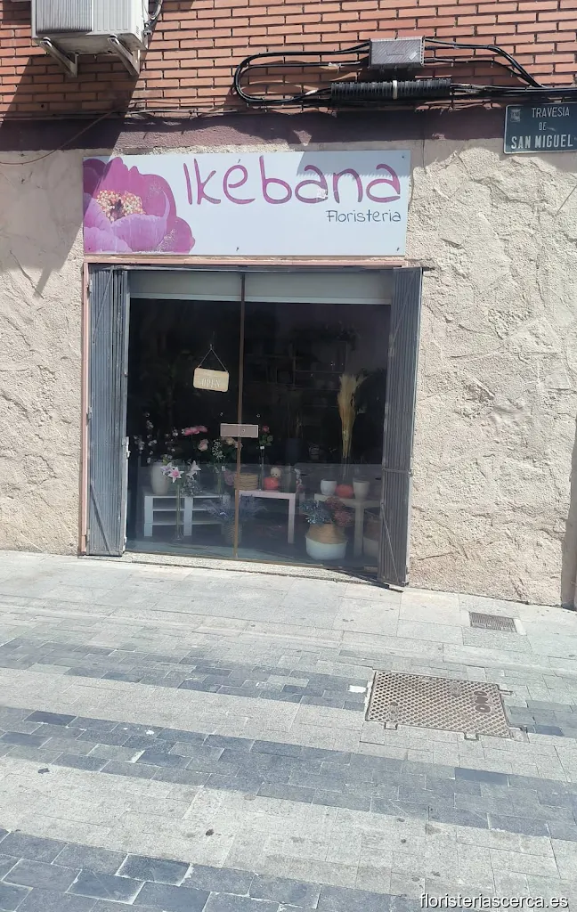 Ikebana Floristería
