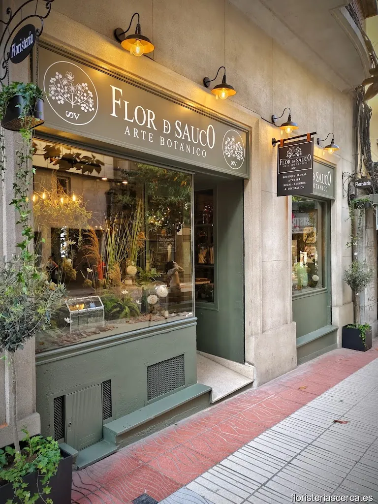 Flor de Sauco - Arte Botánico