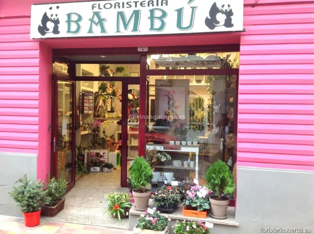 Floristería Bambú