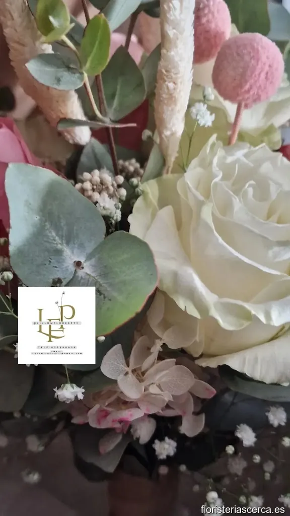 Lillumflorespty- Flores y regalos