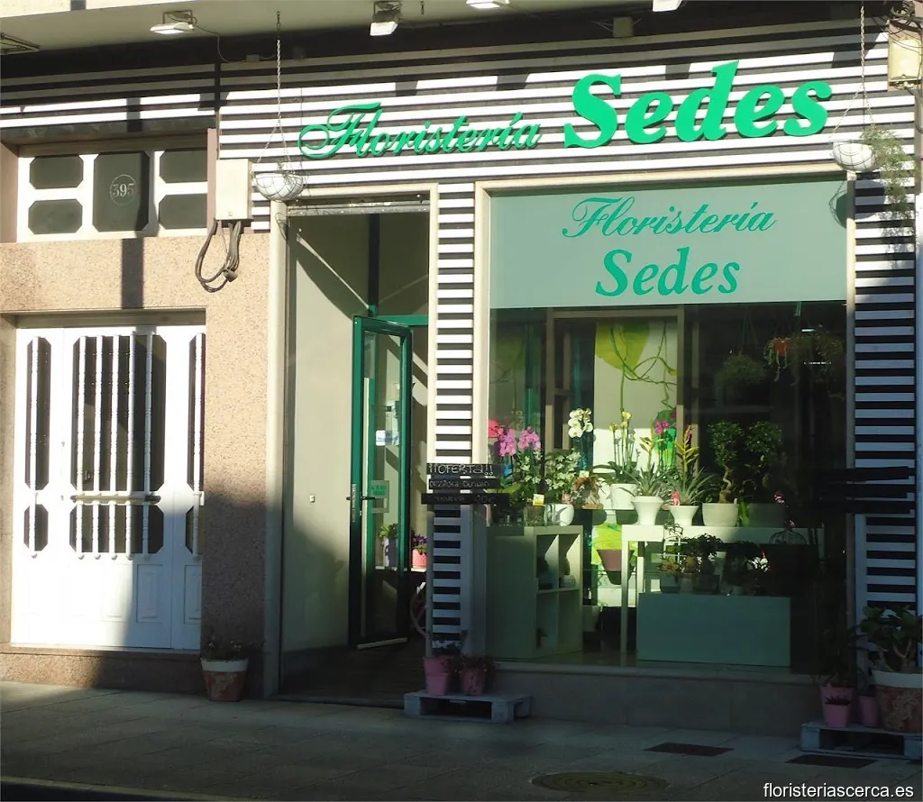 Floristería Sedes