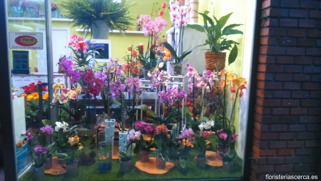 Naranco, Flores y Plantas