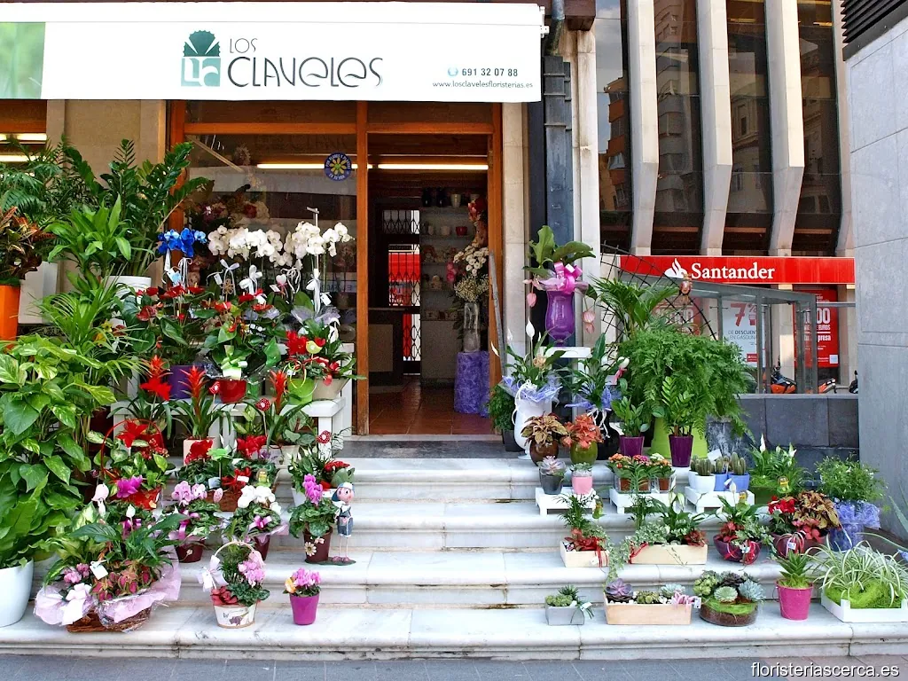 Floristeria Los Claveles