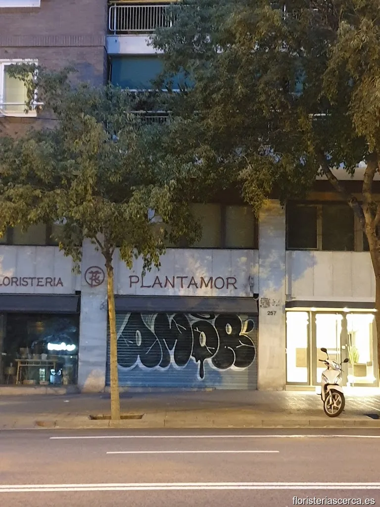 Floristeria Plantamor