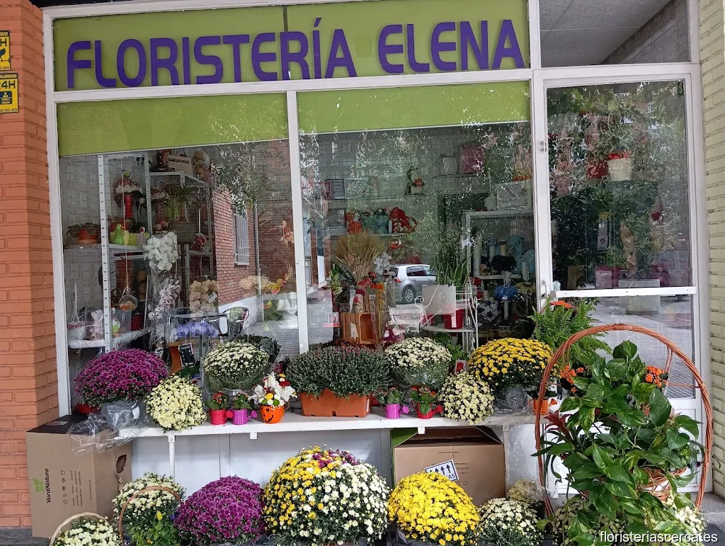 Floristeria Elena