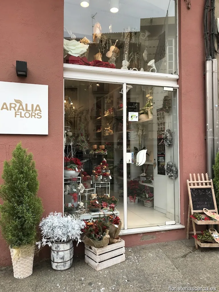Aràlia Flors (rambla del Carme)