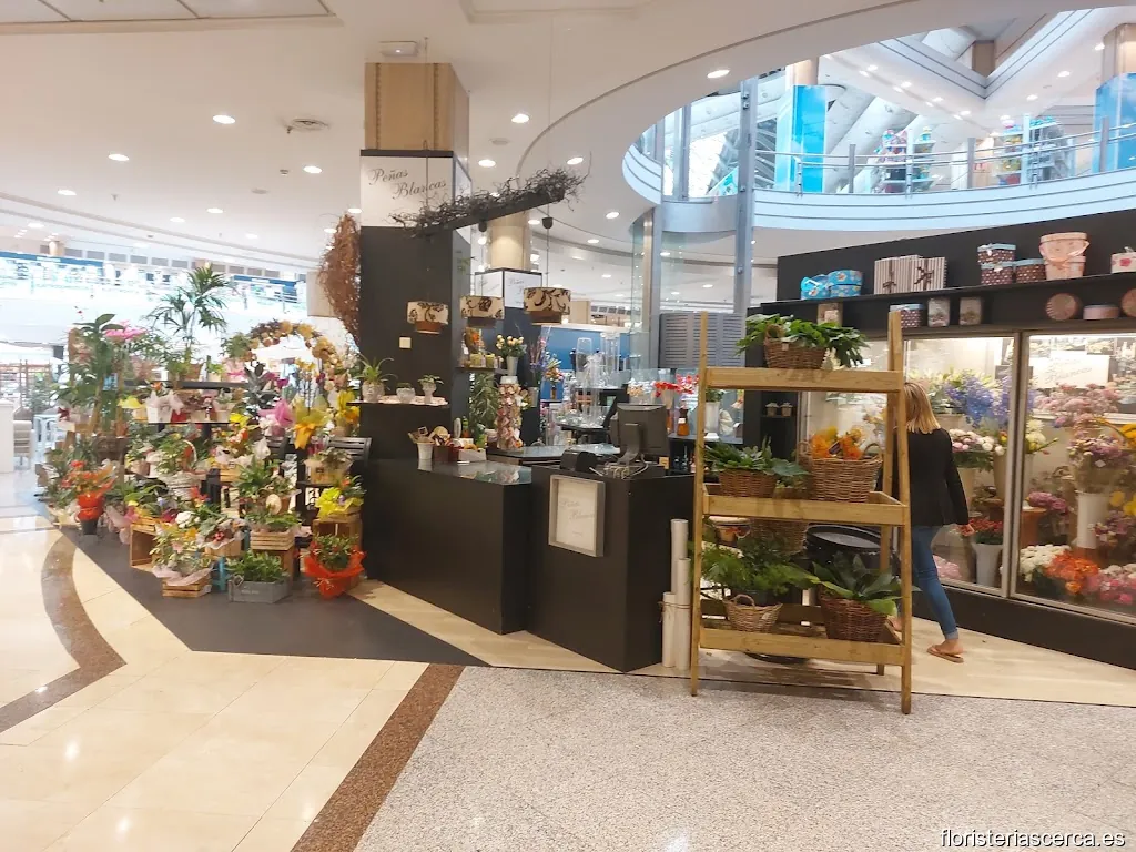 Floristería Peñas Blancas