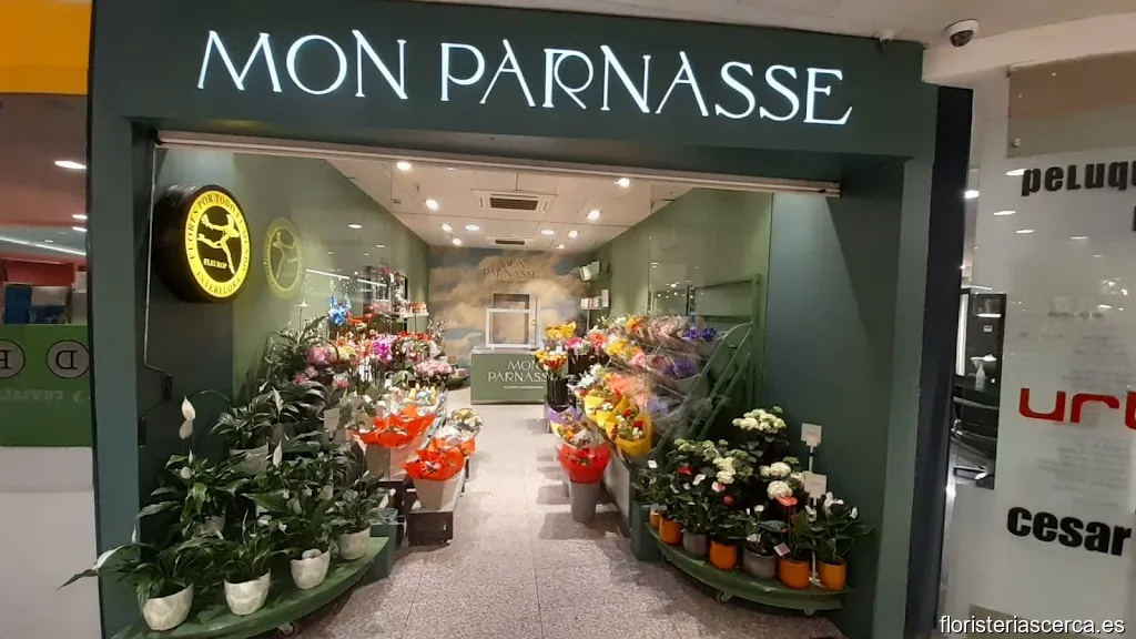 Mon Parnasse Flores