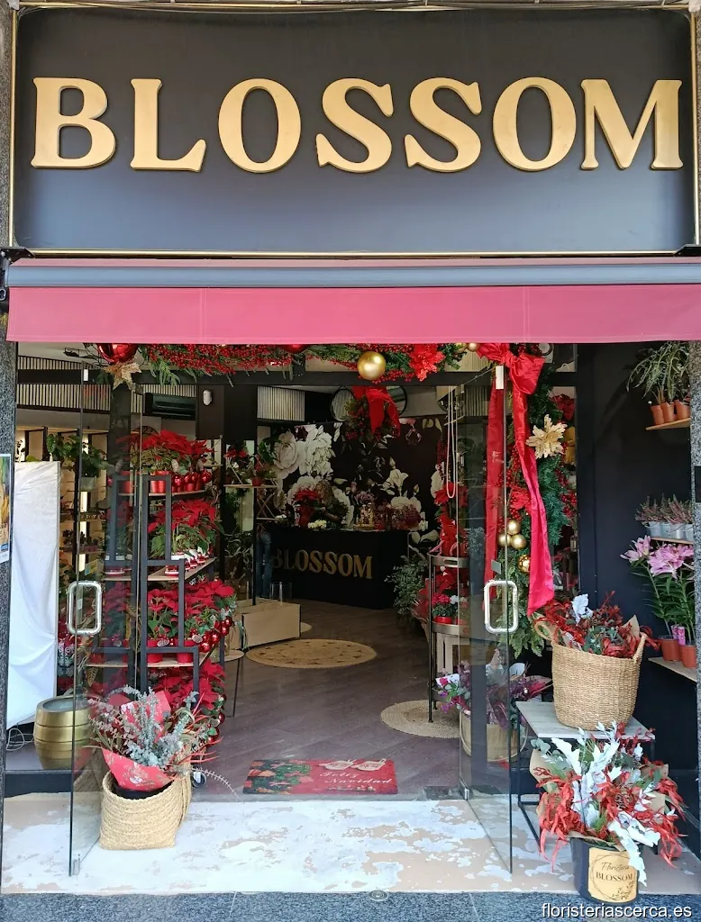 Floristería Blossom
