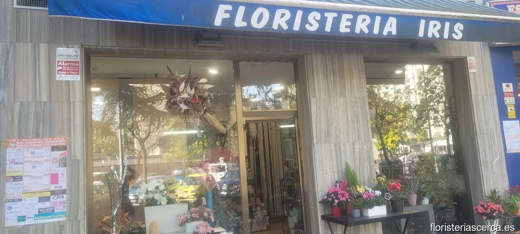 Floristería Iris