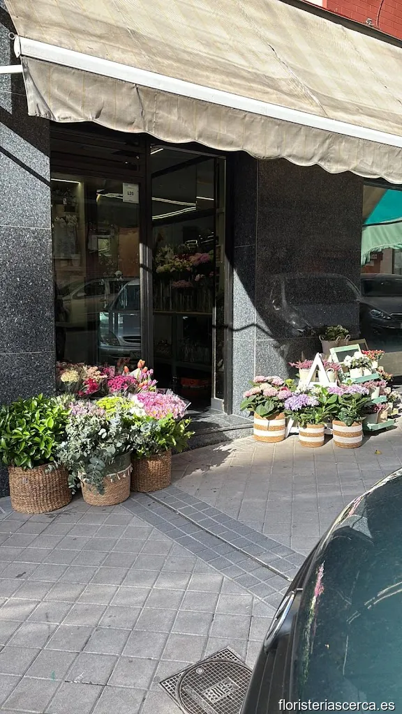 Floristería Balena-Artefloral