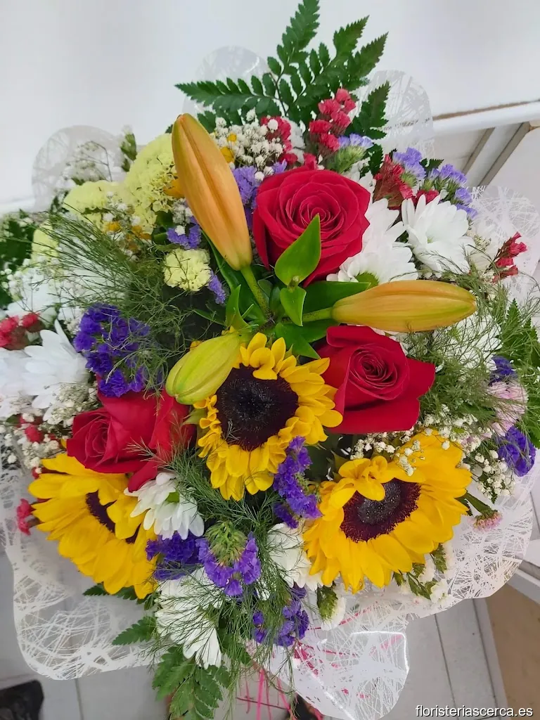 Plantes i Flors Carmen