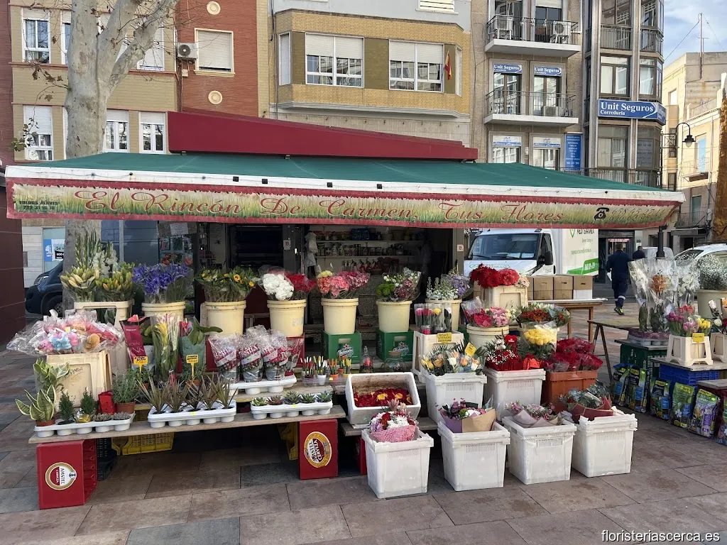 Rincón de Carmen, Floristeria