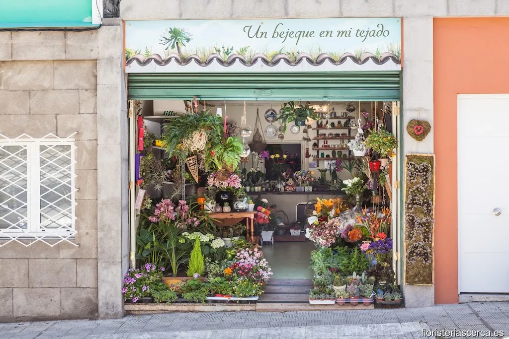 Floristería - Un bejeque en mi tejado