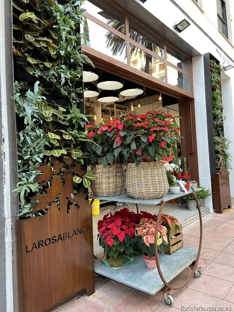Floristería La Rosa Blanca