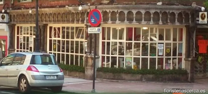 Floristería La flor de Cervantes