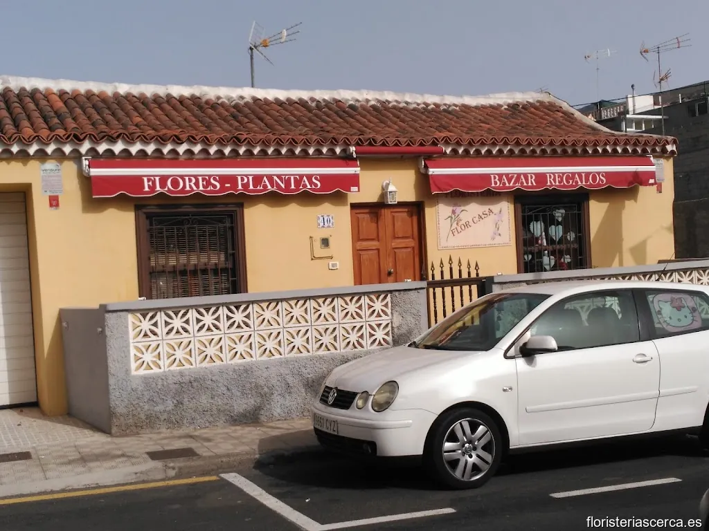 Francisco Pérez Suárez - Flor Casa