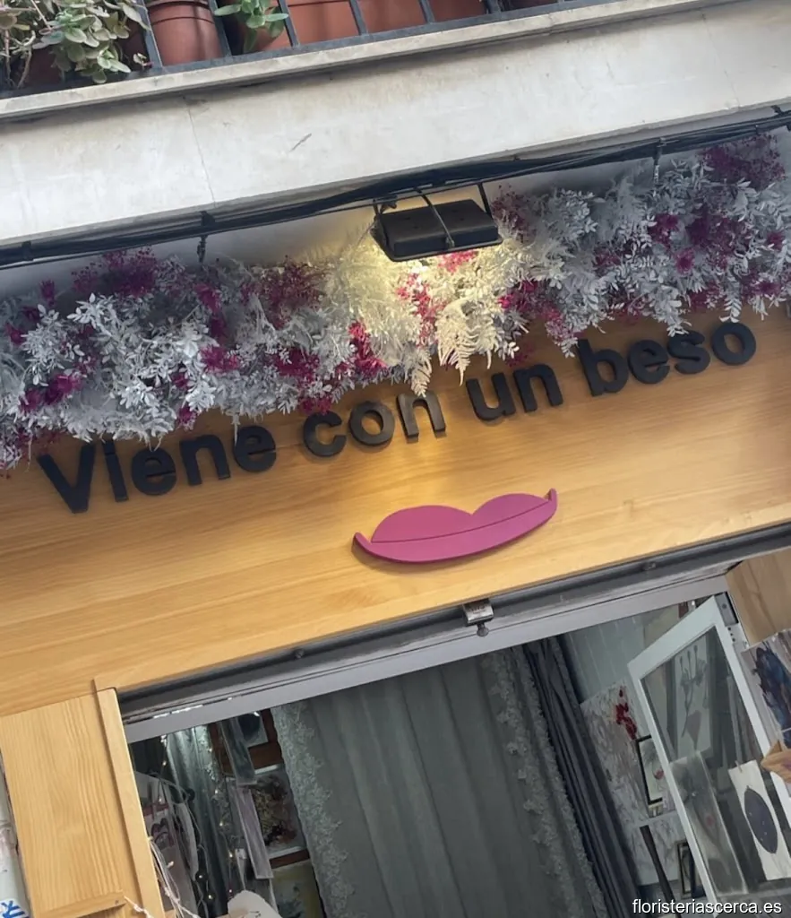 Floristería Sielia plant_arte