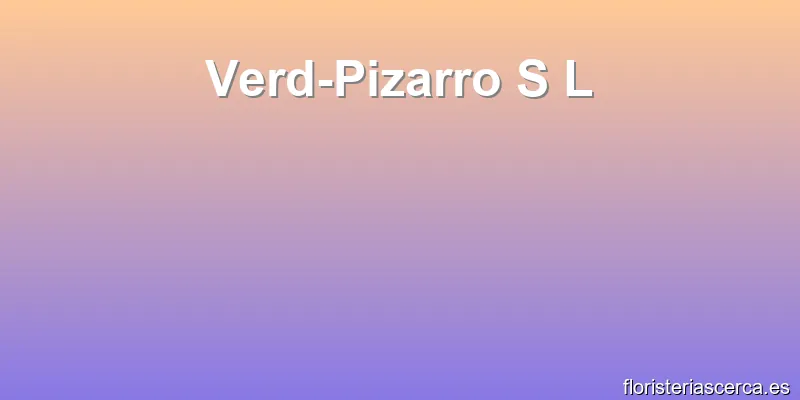 Verd-Pizarro S L