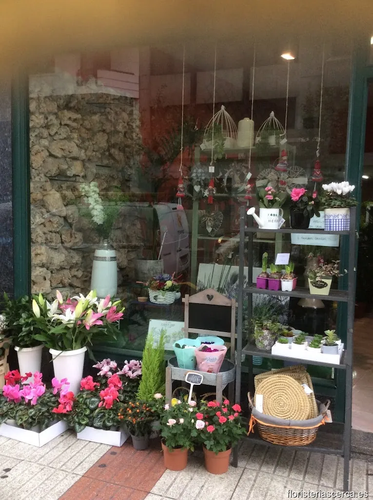 Floristería Rosablanca