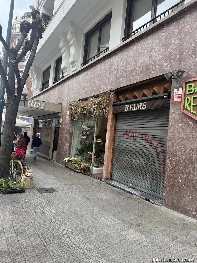 Floristería Vi DREAMS FLOWERS Bilbao