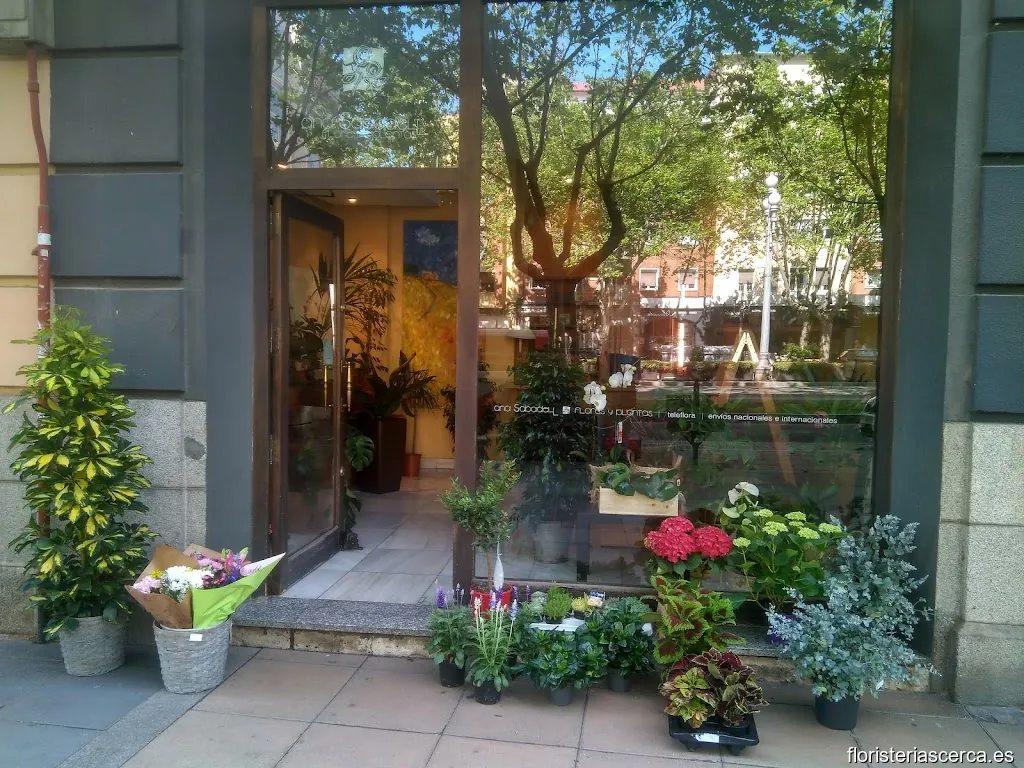 Floristería Ana Sabadell