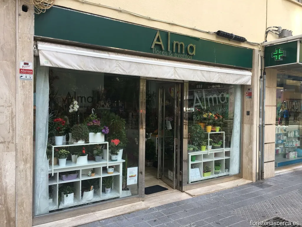 Floristería ALMA (Flores & Eventos)