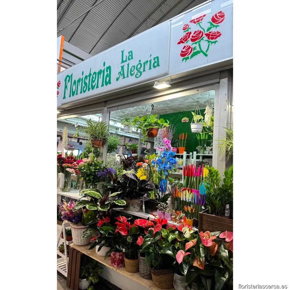 Floristería La Alegría