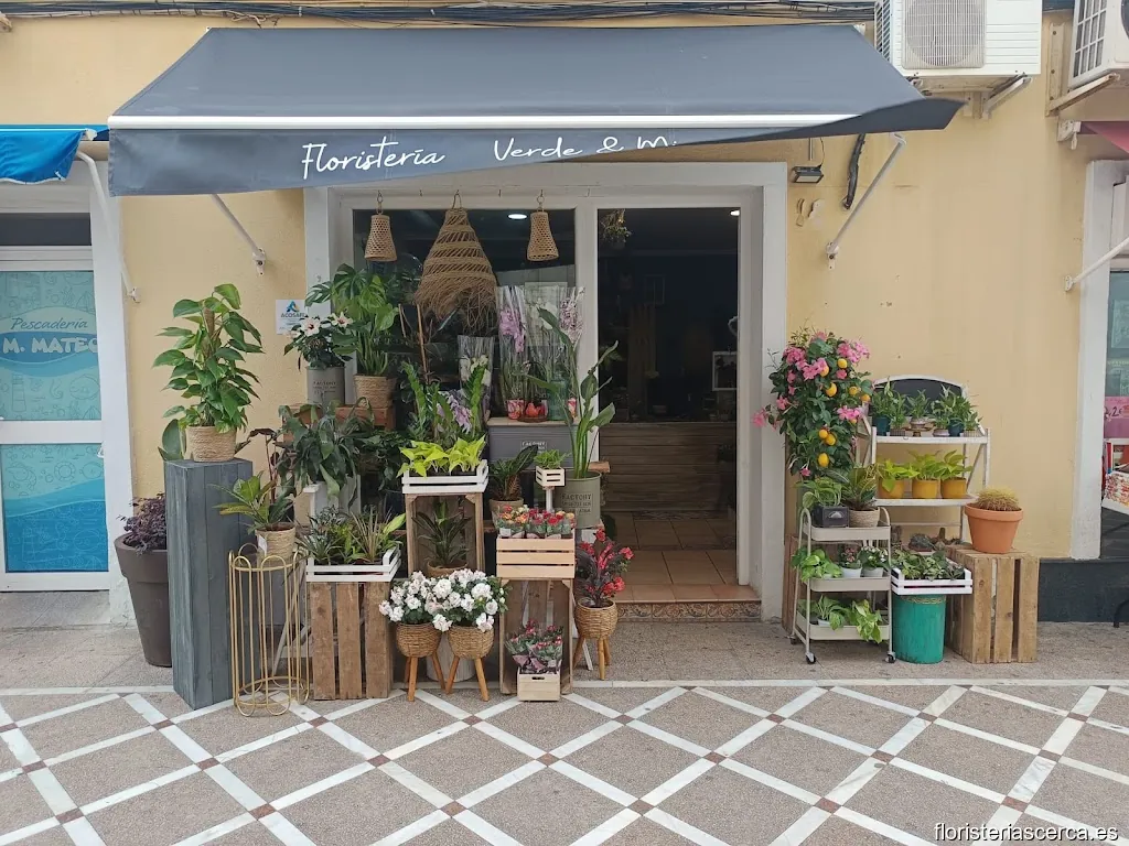 Floristería Verde y Mimosa