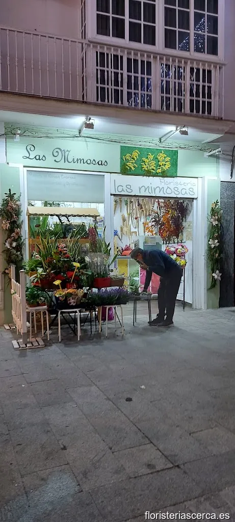 Floristería Las Mimosas