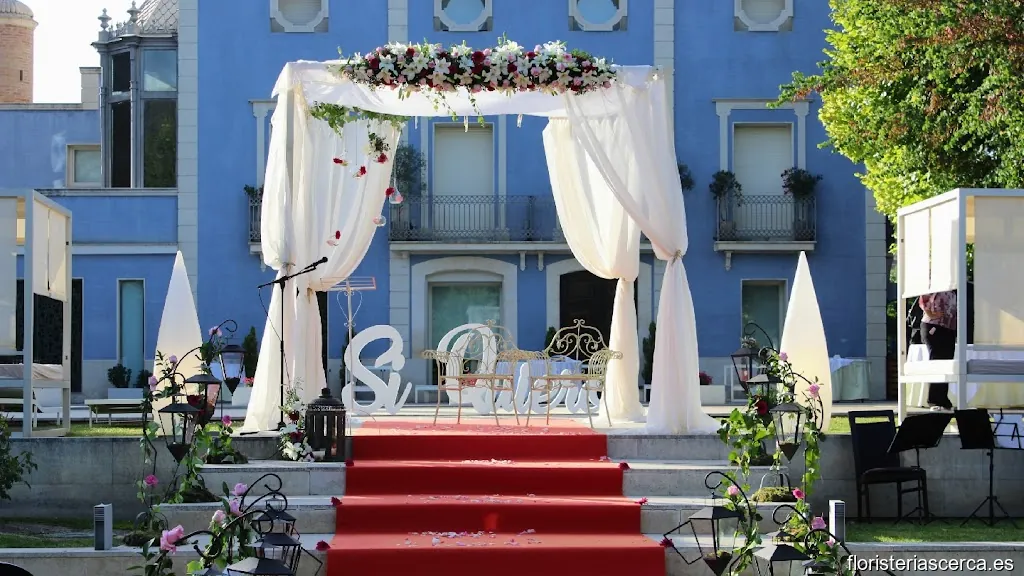 Floristería Aladino Alcoy