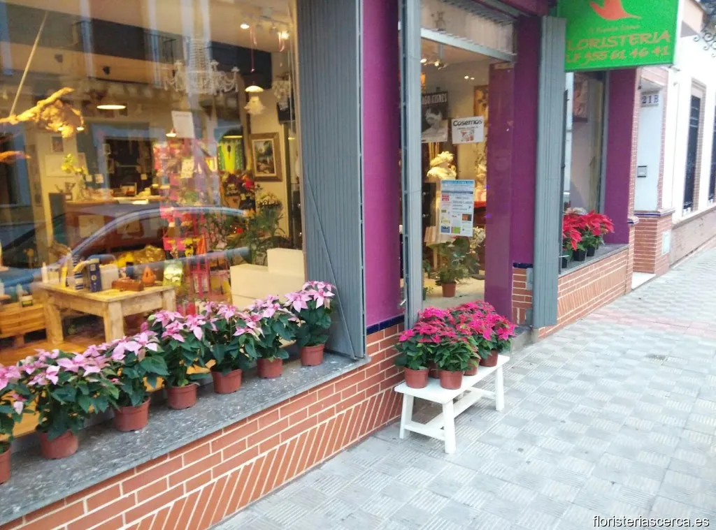 JRamon Serna Floristas