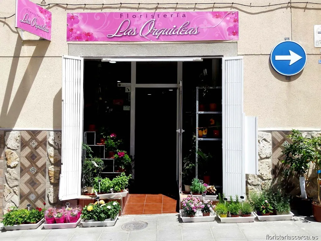 Floristería Las Orquídeas